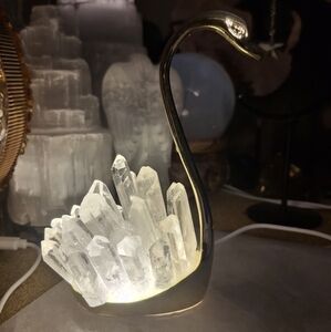 Elegant Swan Crystal Lamp